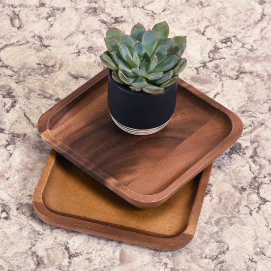 Square Plates - Small